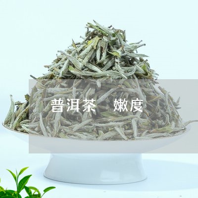 普洱茶 嫩度/2023042739612